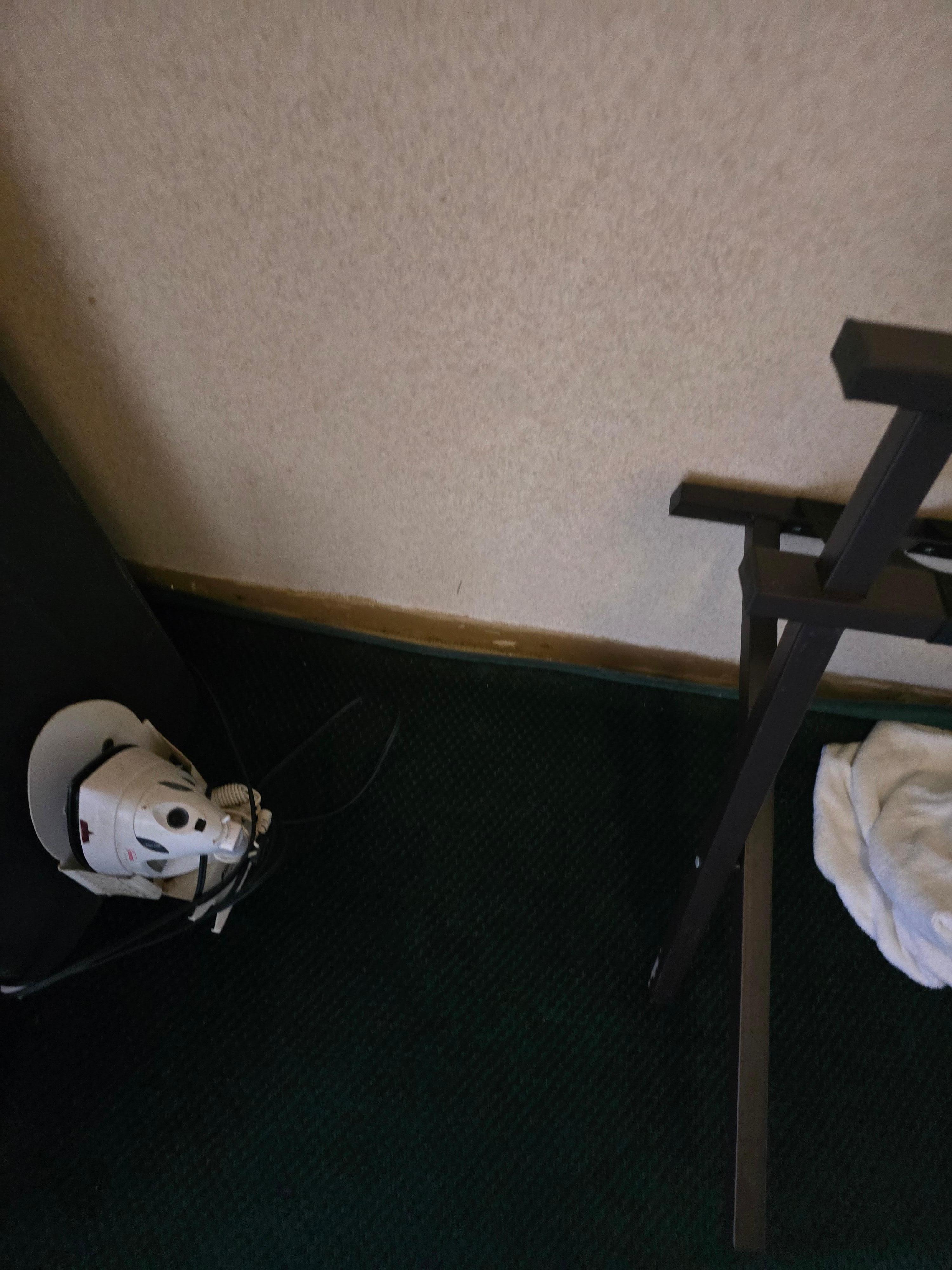 Carpets stained and pulled away from wall. 