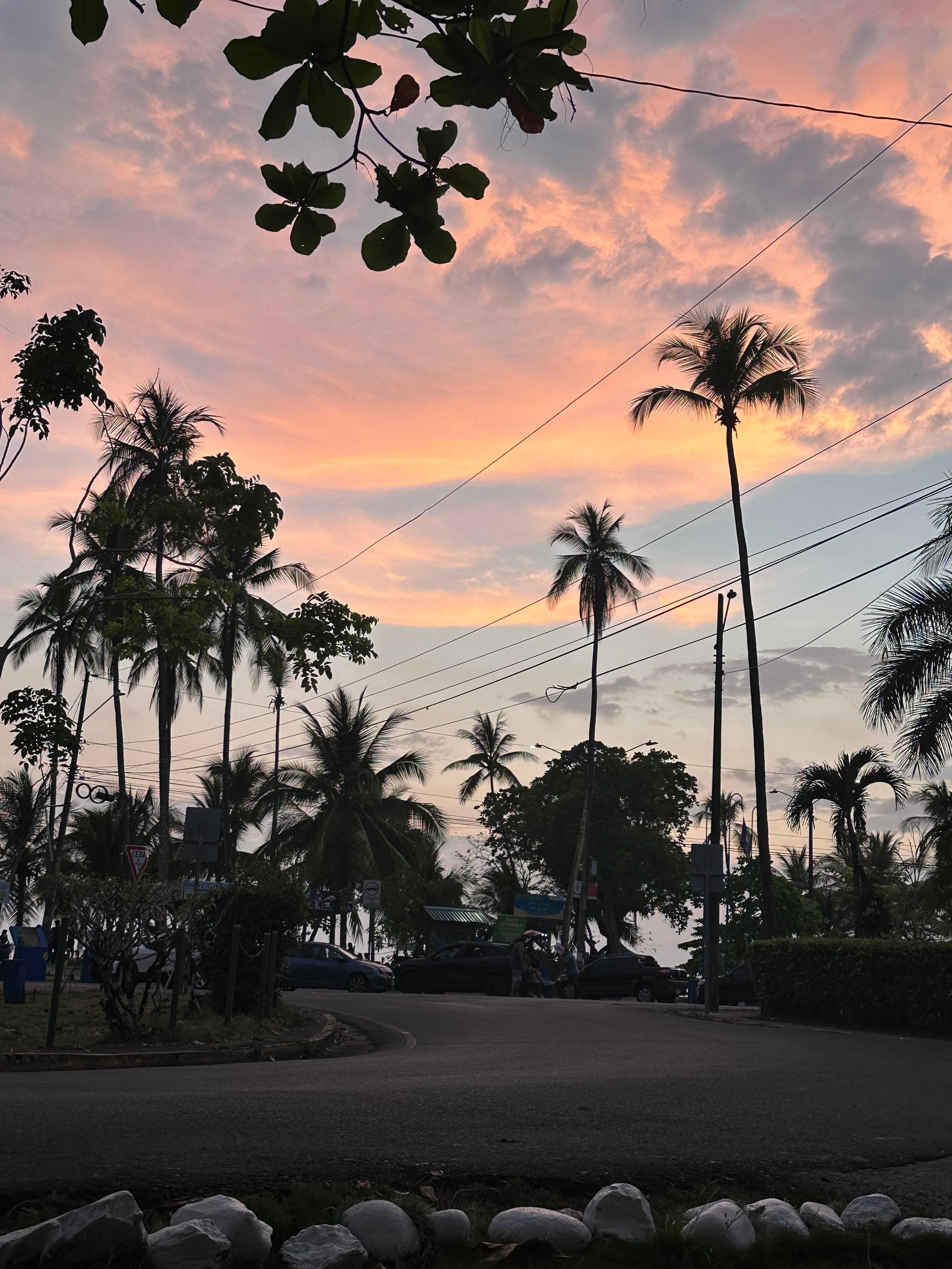 Sunset 