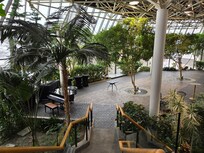 Just beautiful and calming