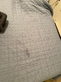 Smaller milk like stain
