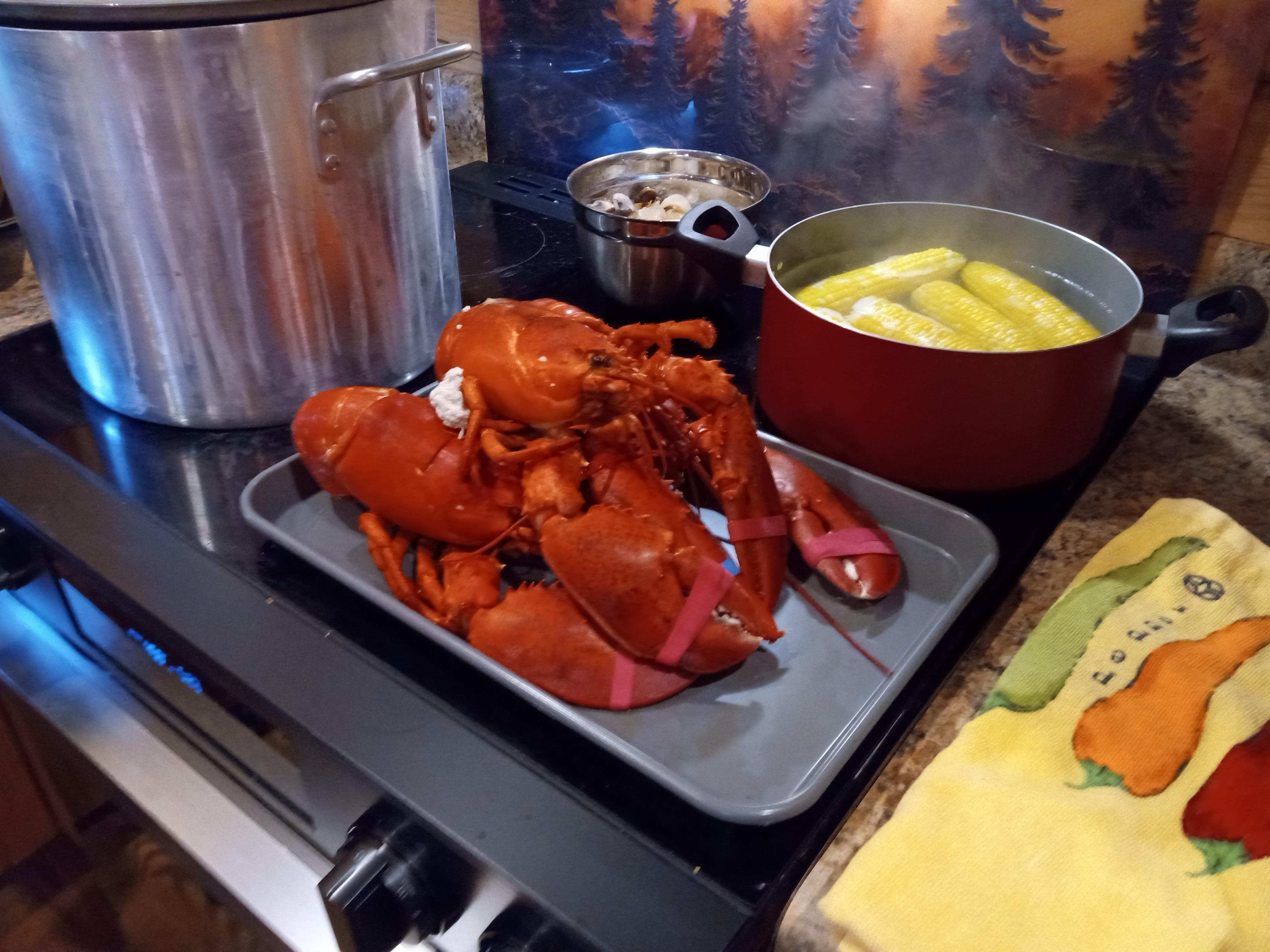 Big surprise dinner, flown in from Maine