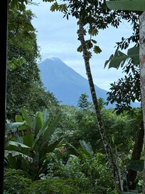 View from the bedroom