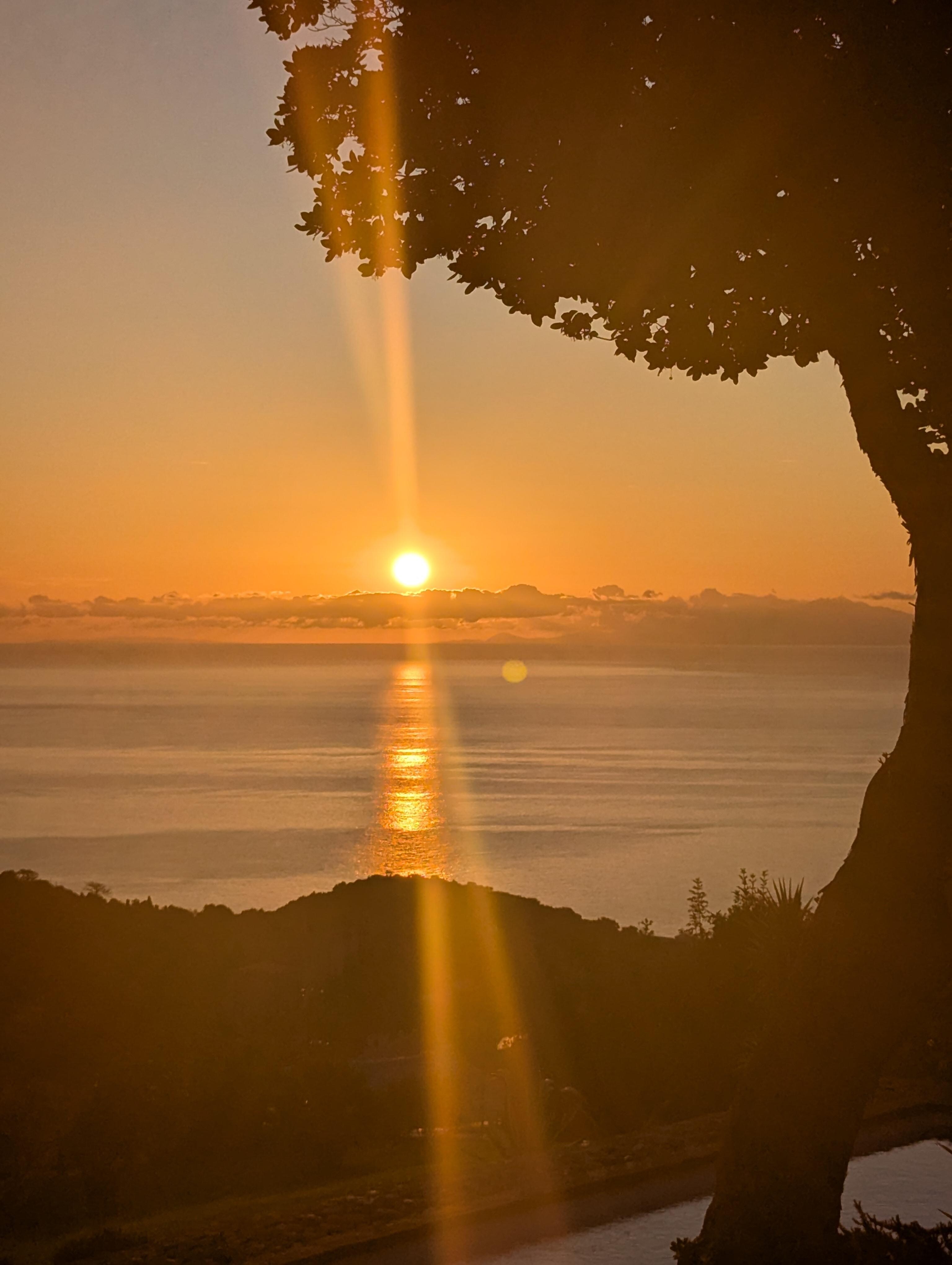 Sonnenaufgang mit Blick aus dem Garten 