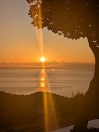 Sonnenaufgang mit Blick aus dem Garten