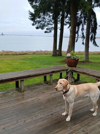 View looking over the deck toward the lagoon.