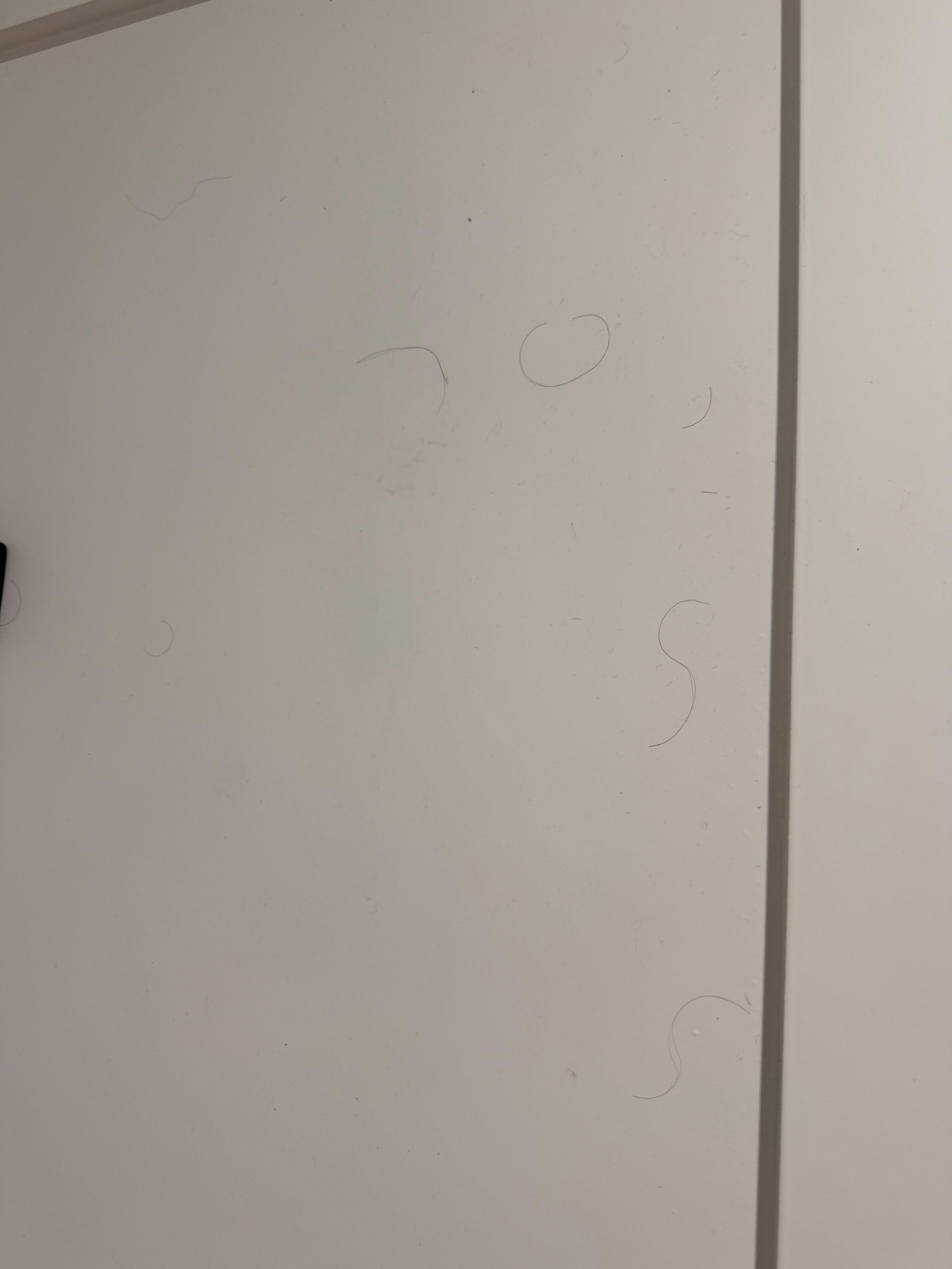 Hair on bathroom door . 