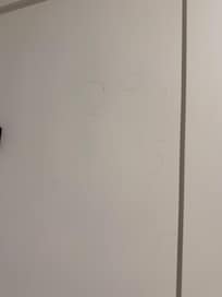 Hair on bathroom door .
