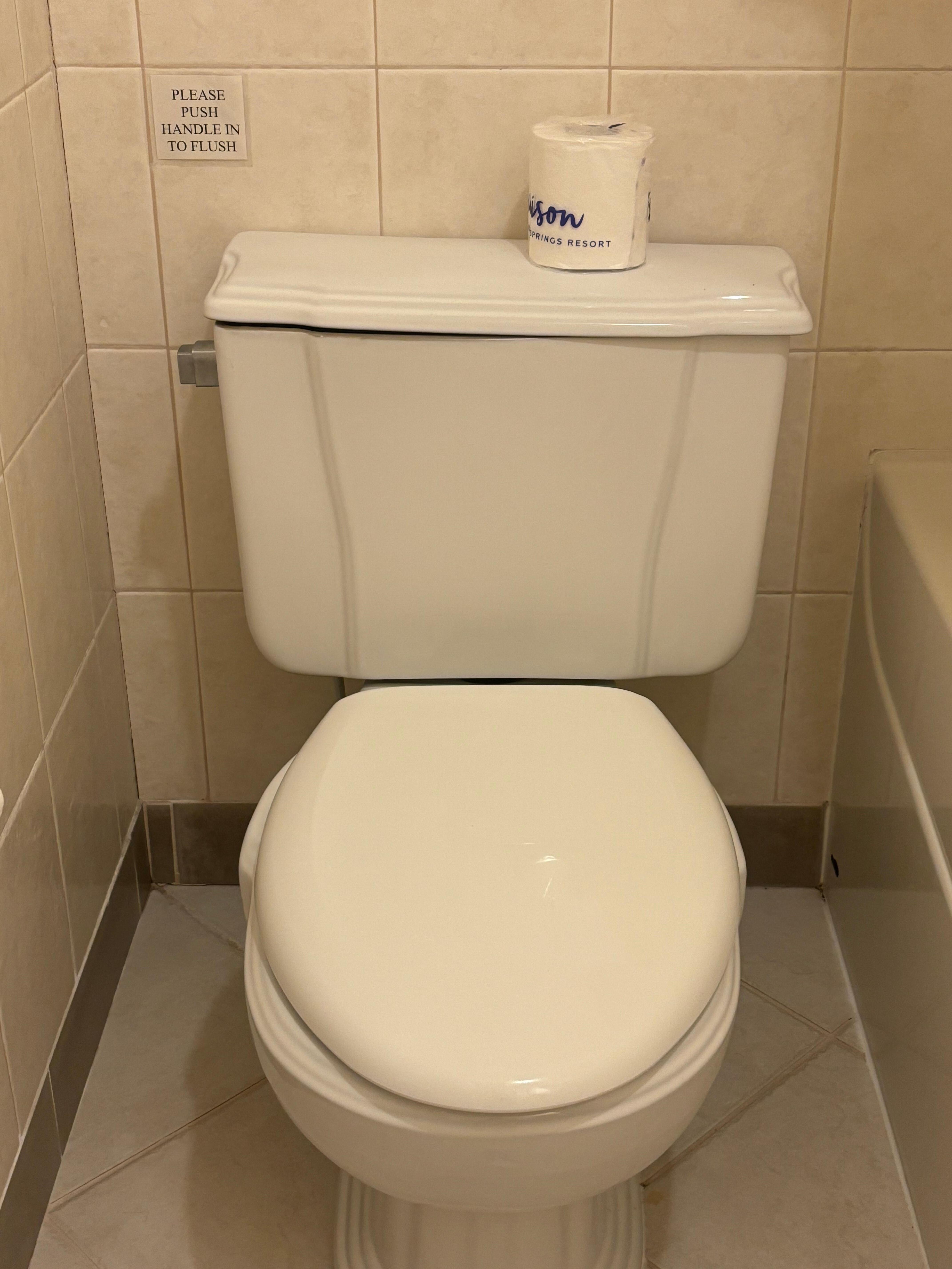 Toilet top speaks for itself. After a flush, there’s a 15 minute song the bowl plays.. 