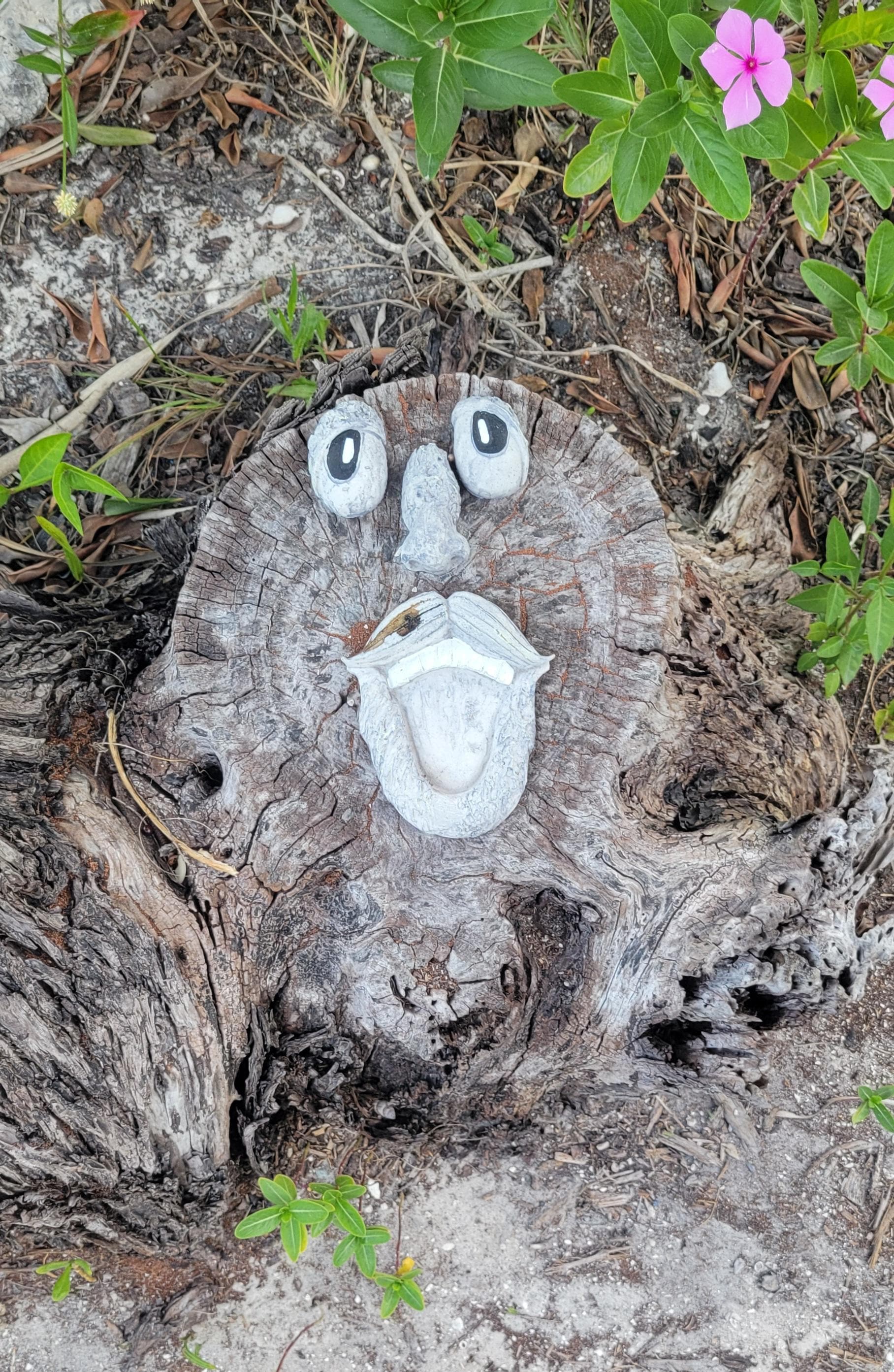 Lot next to house is Bocilla Conservatory Garden. 