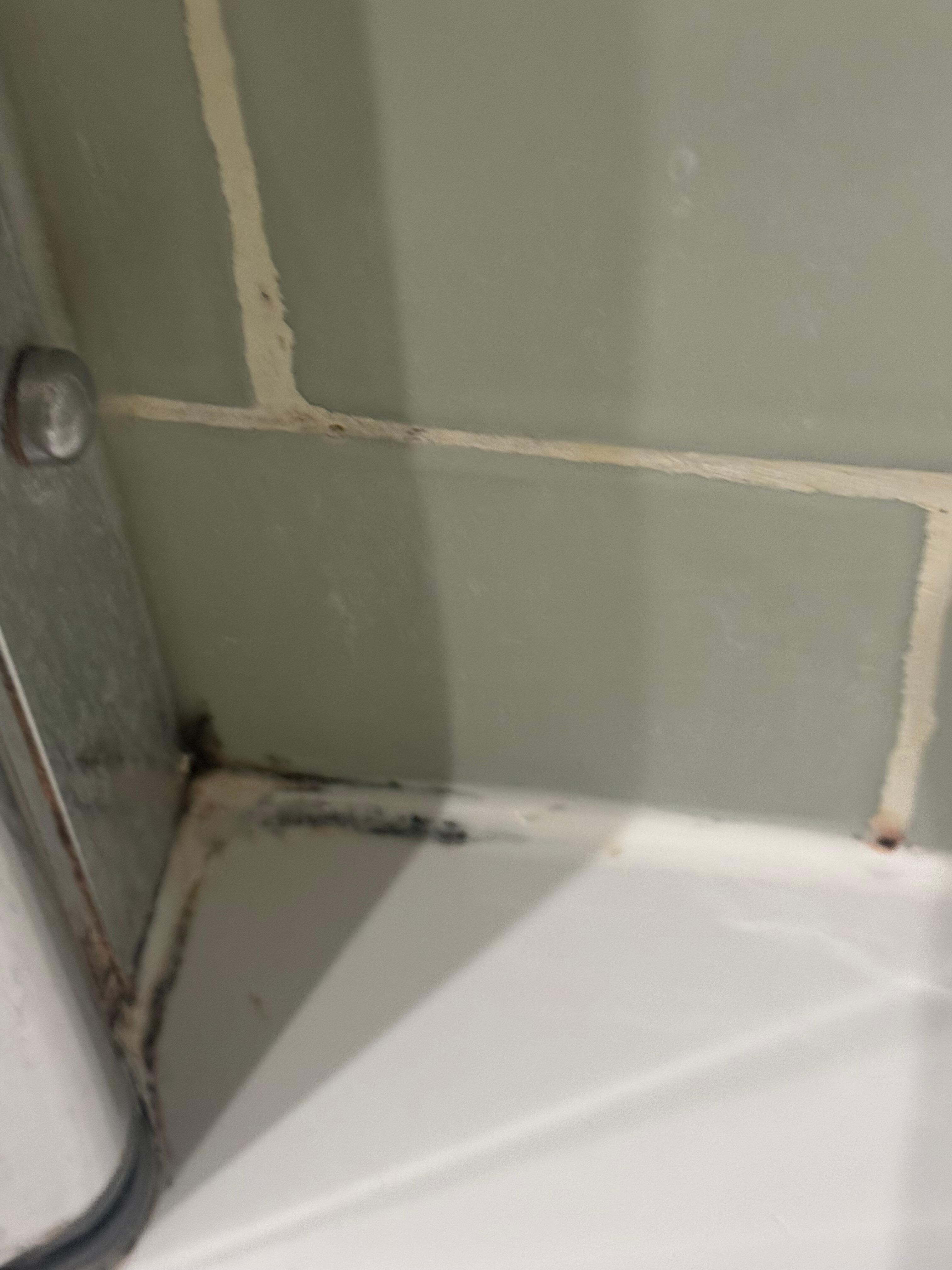 Black mold