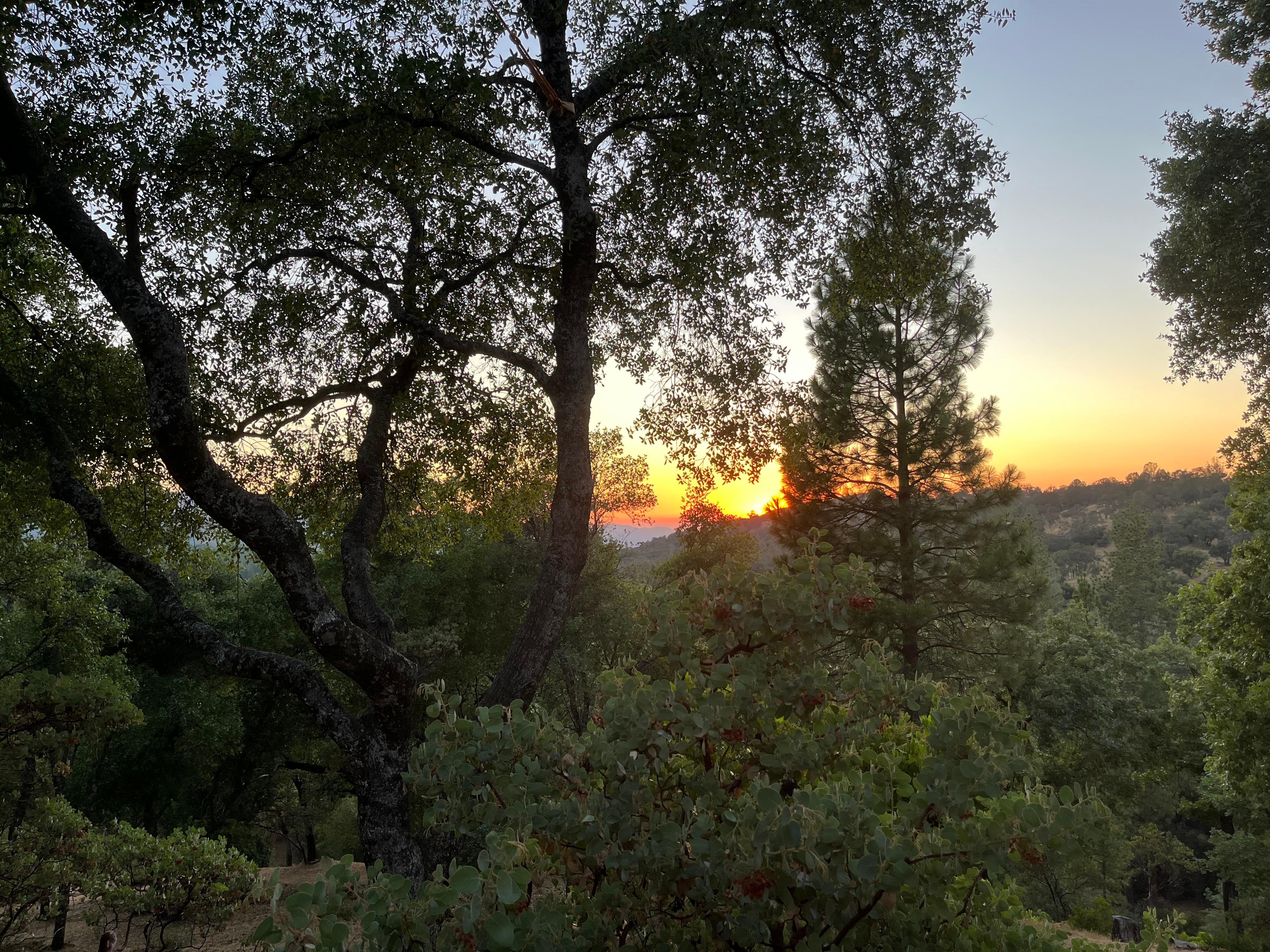 Sunset at sunset roost