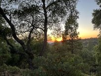 Sunset at sunset roost