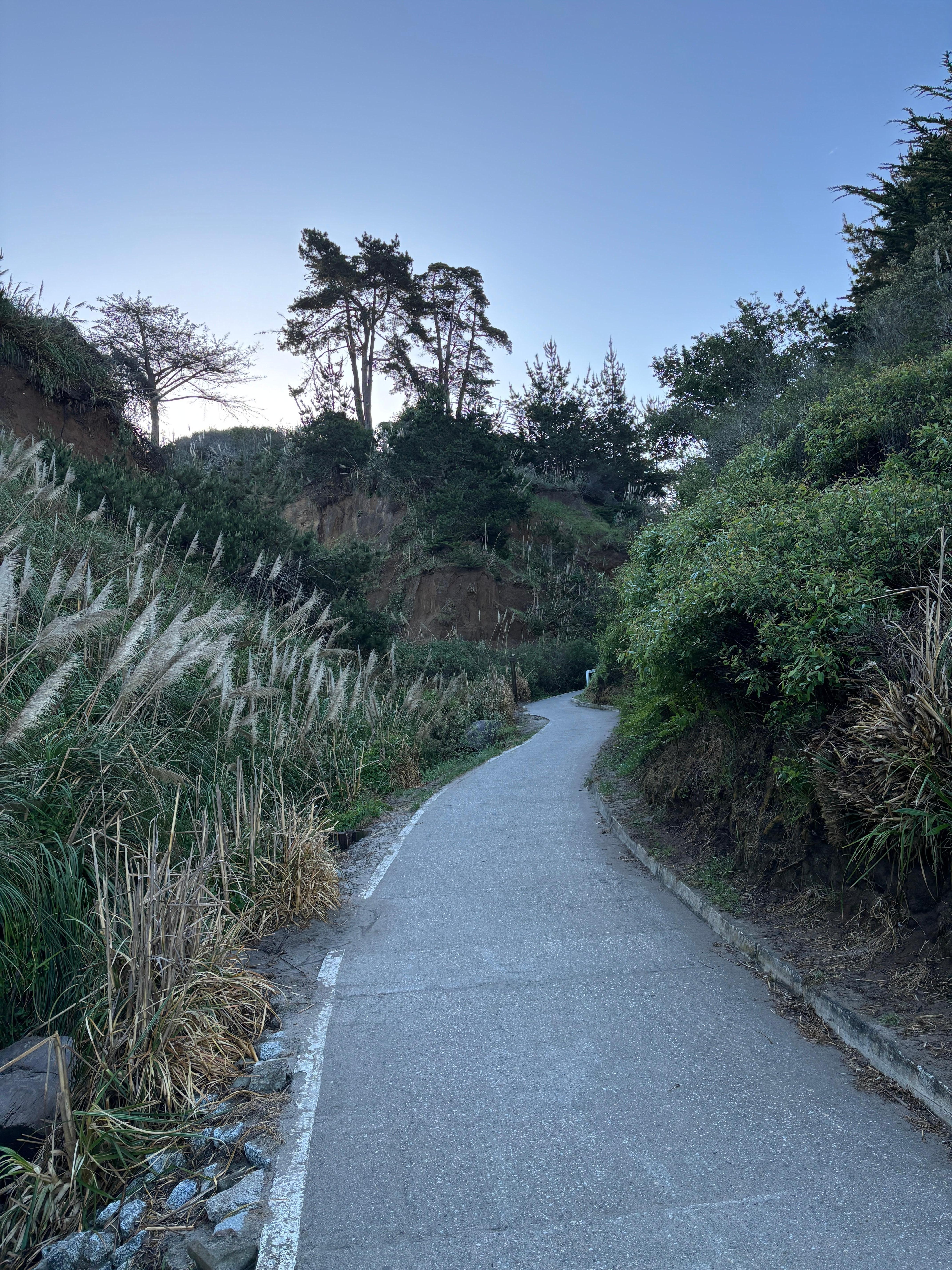 Walk back up from the beach