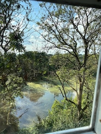 A room with a view