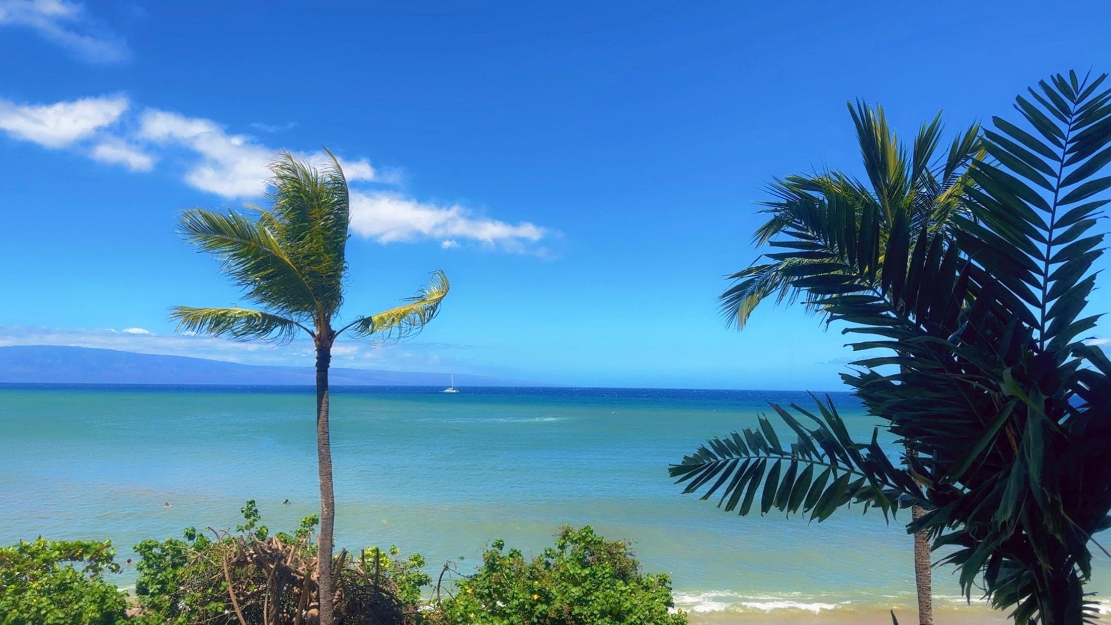 Beautiful view…NO filter, it is just this beautiful!