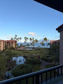 Morning view from condo