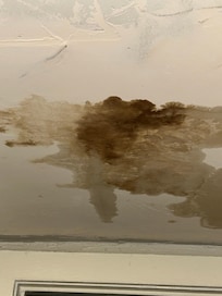 Ceiling in the kitchen