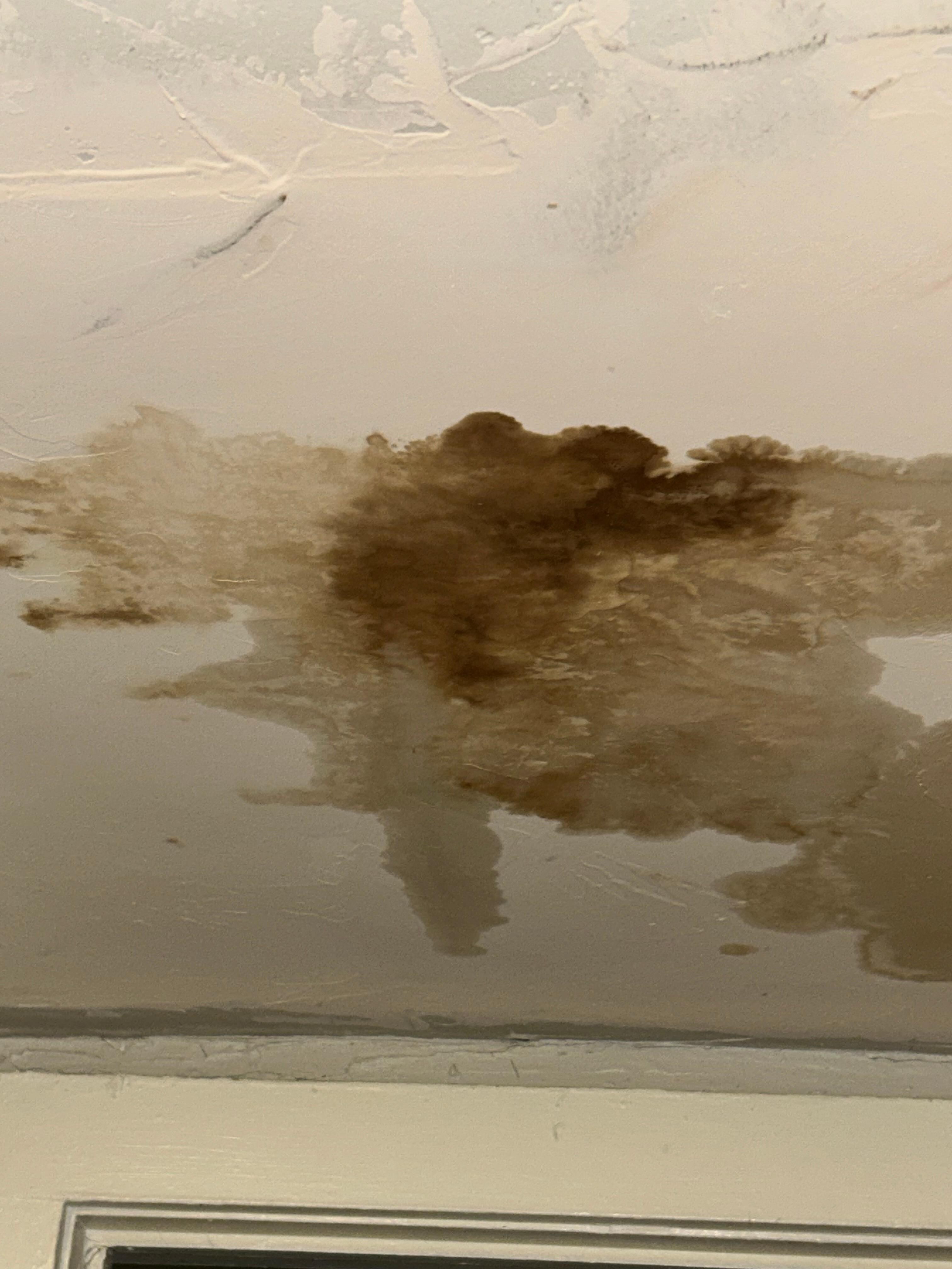 Ceiling in the kitchen 