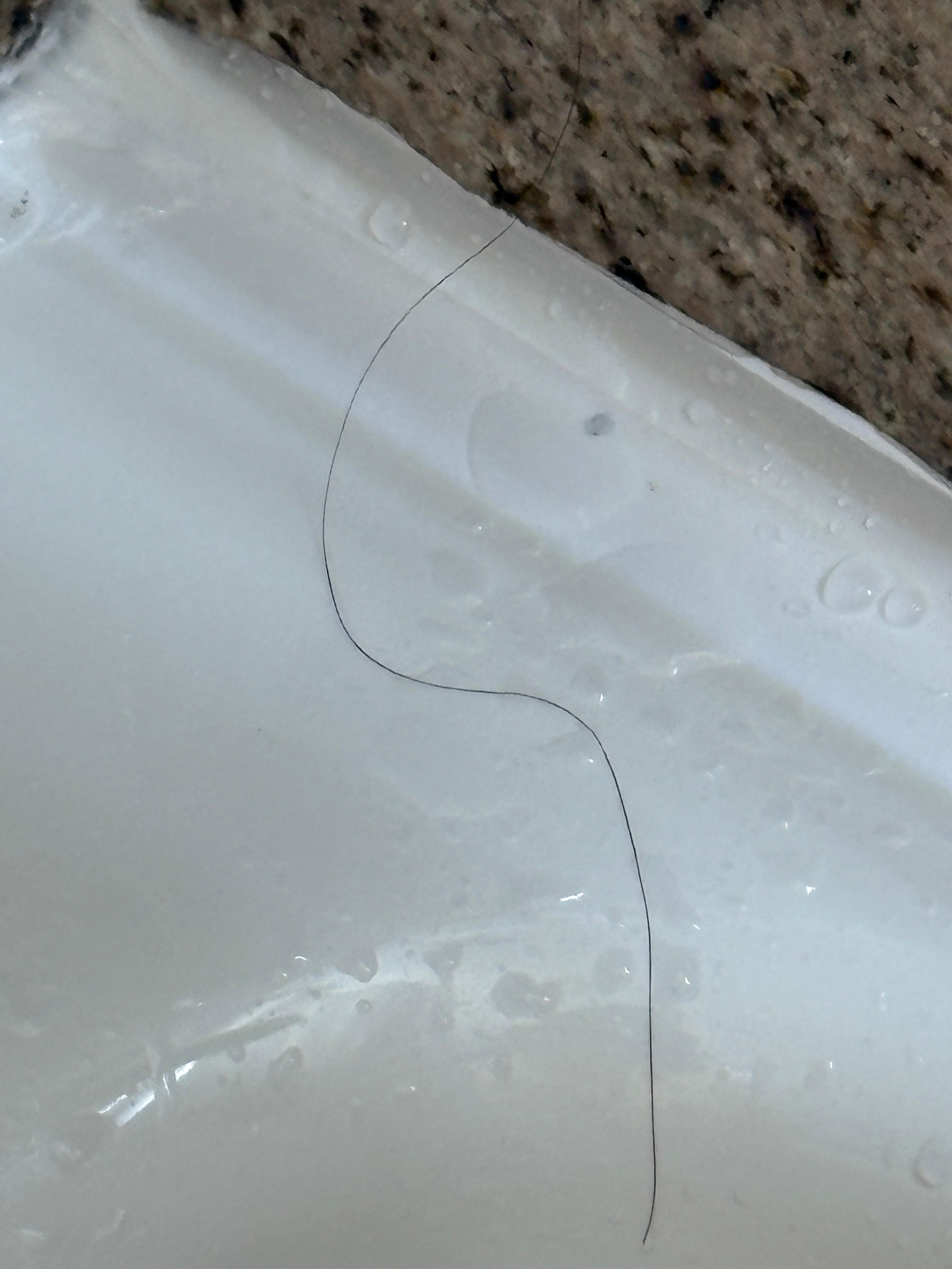 Hair in tub prior to stepping in (definitely not mine)