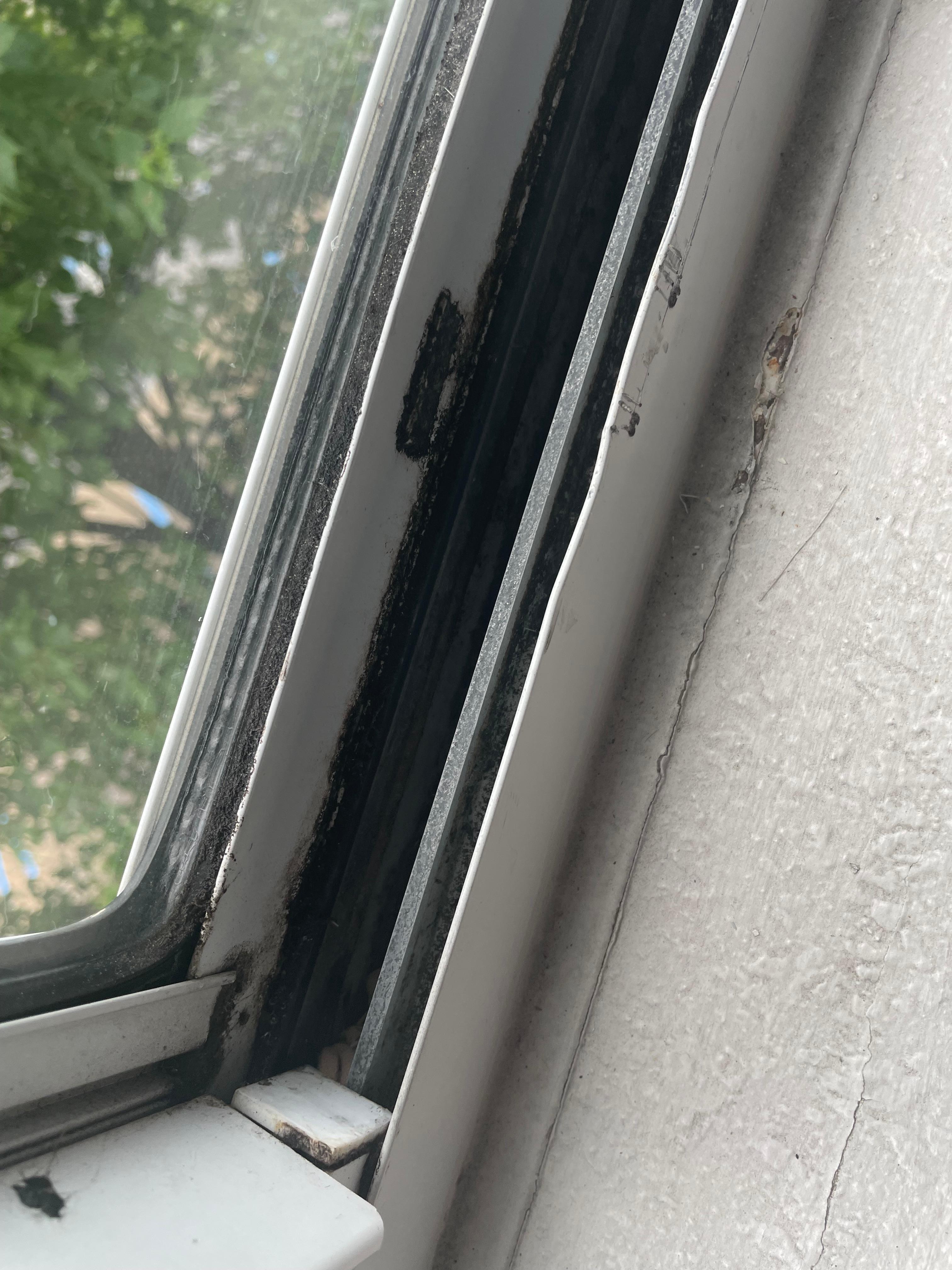 Window in Room