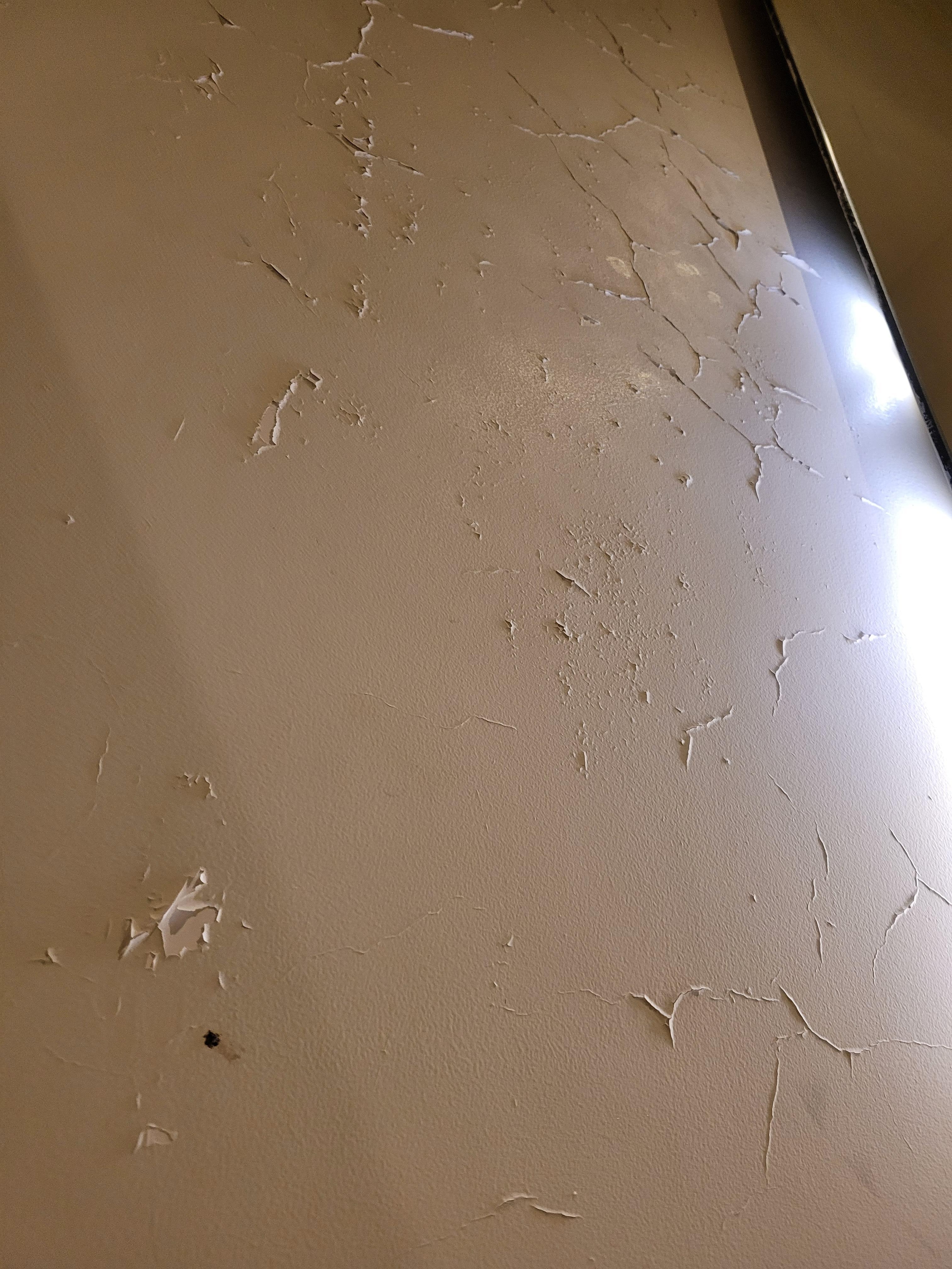 Damaged walls,  light around bathroom mirror only 25 percent working