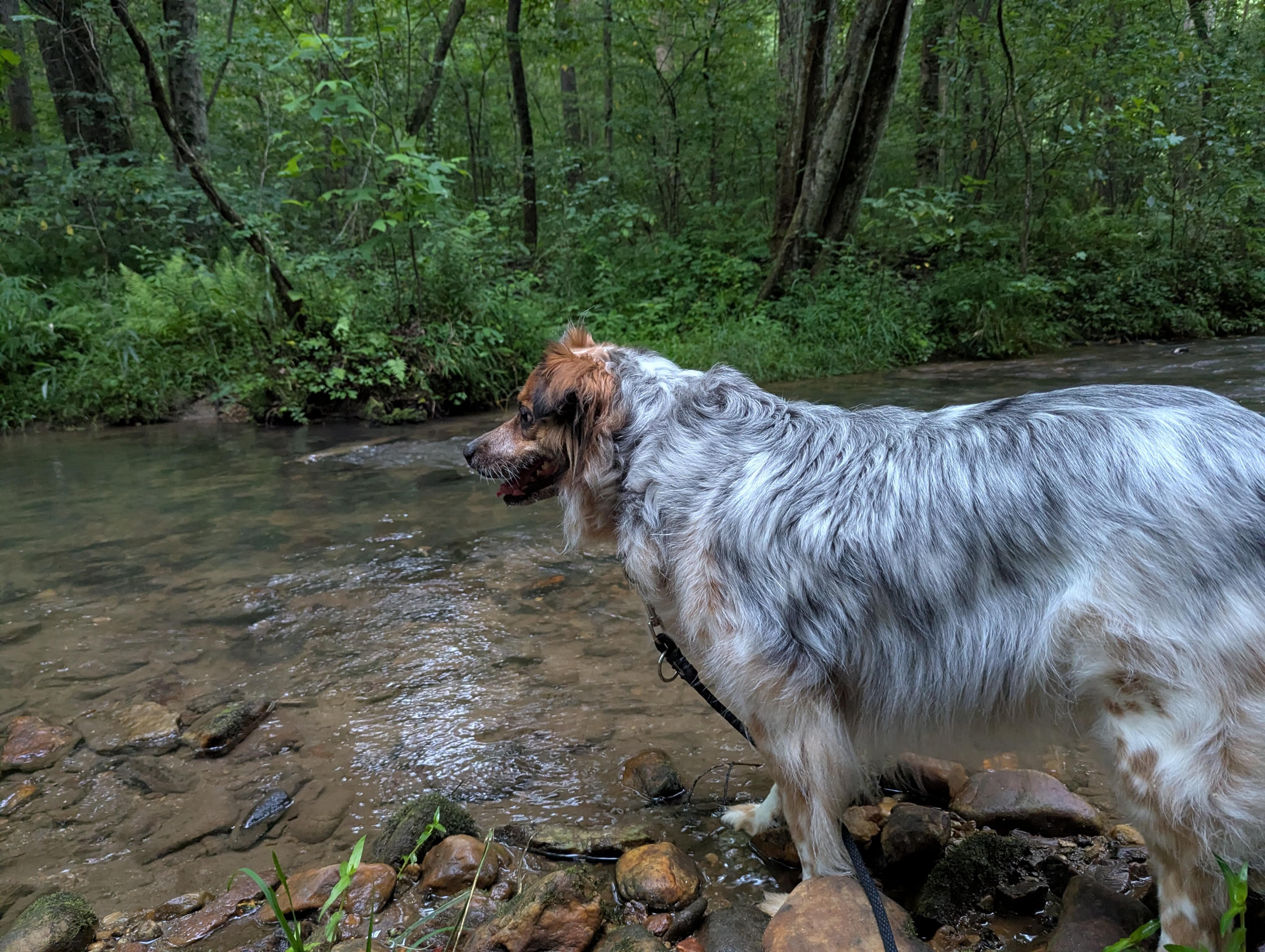 Lots of good smells 
