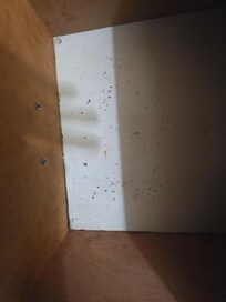 Moldy cabinet.