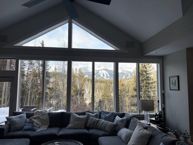 Family/Living Room View