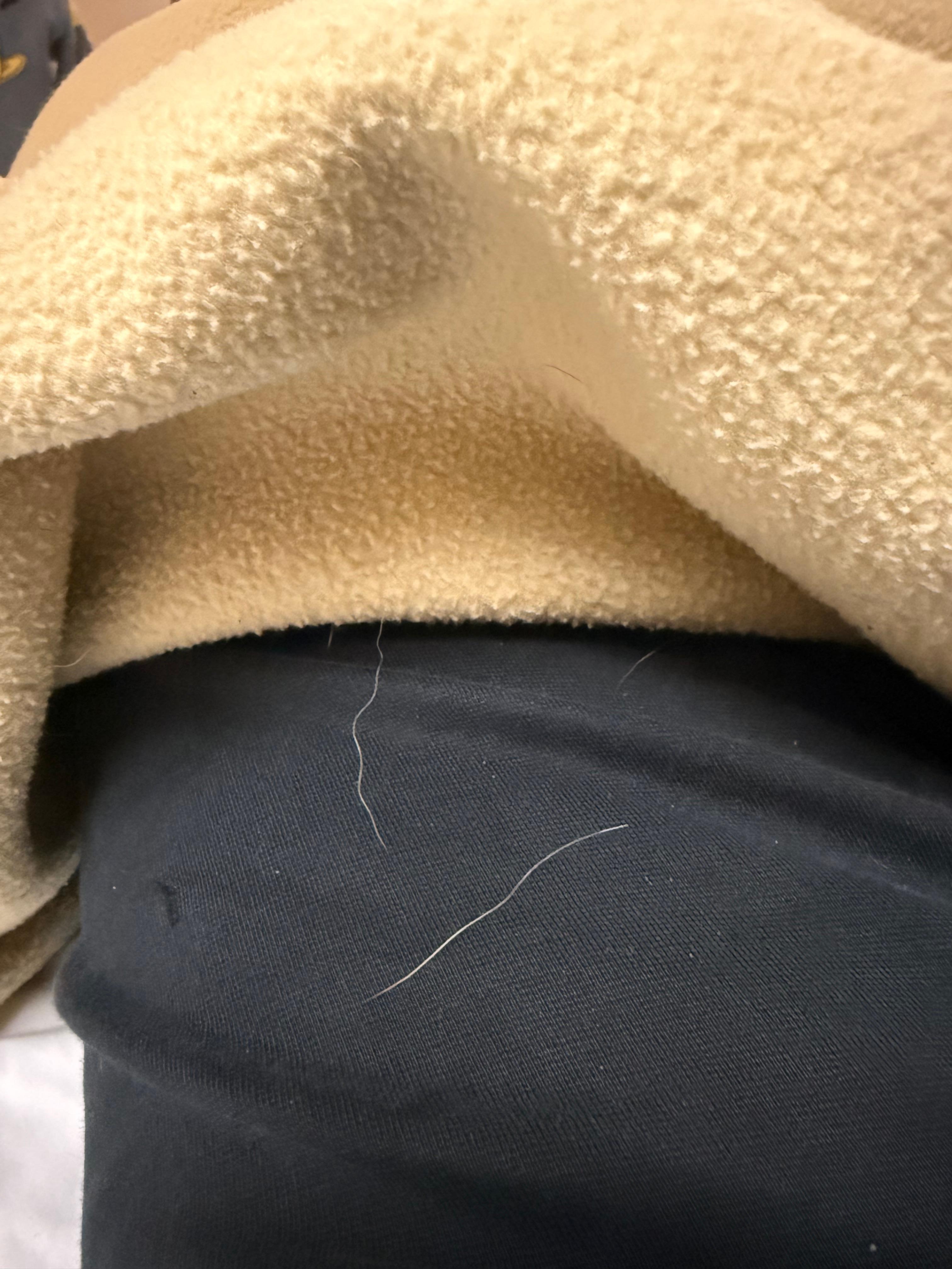 Pet hairs on bed and blanket