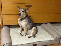 Time to go night night