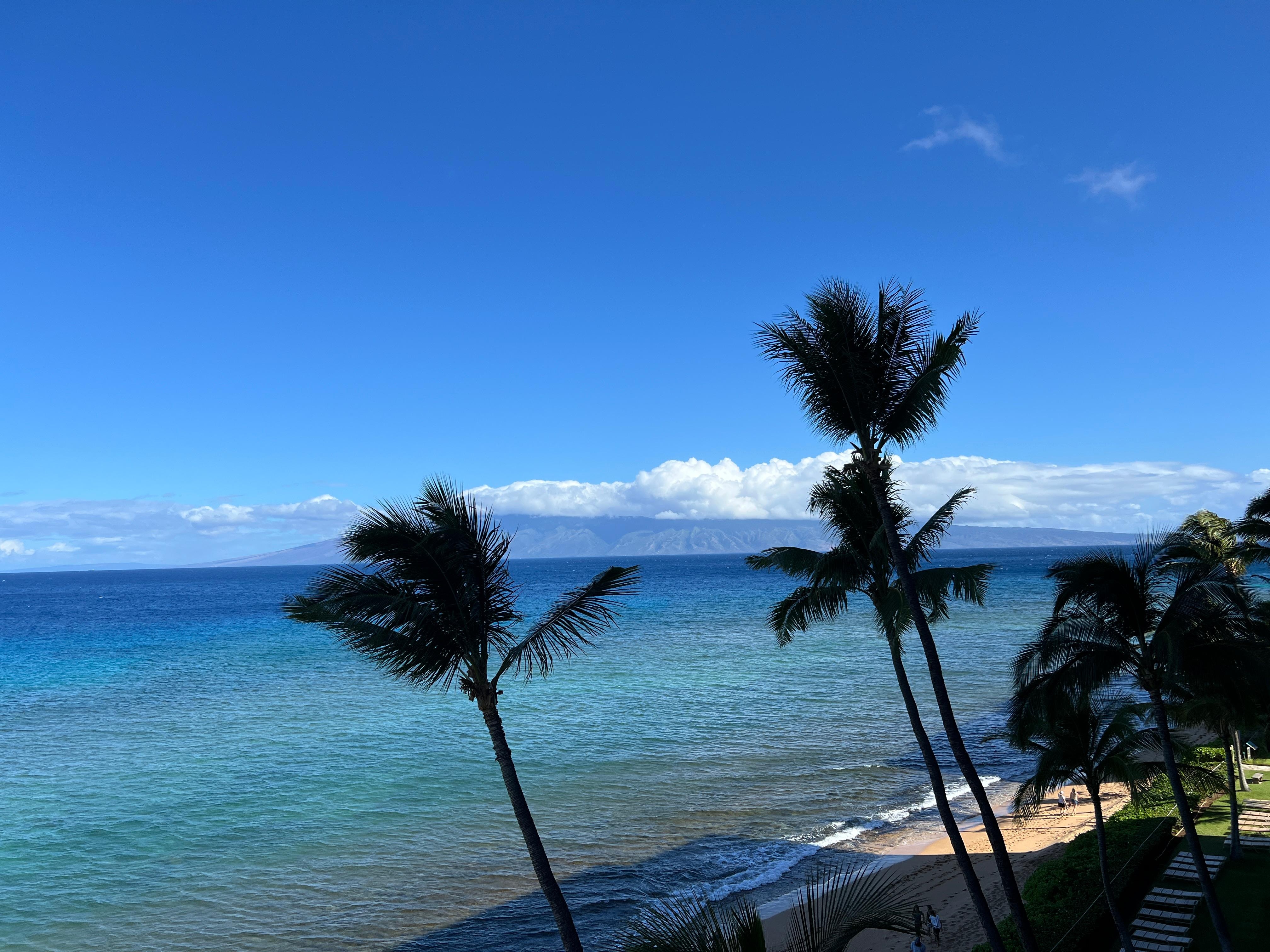 View from balcony