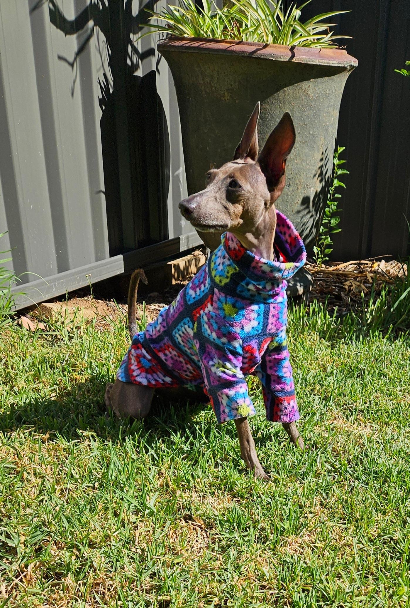 Taking in the sun on a brisk early Dubbo morning.