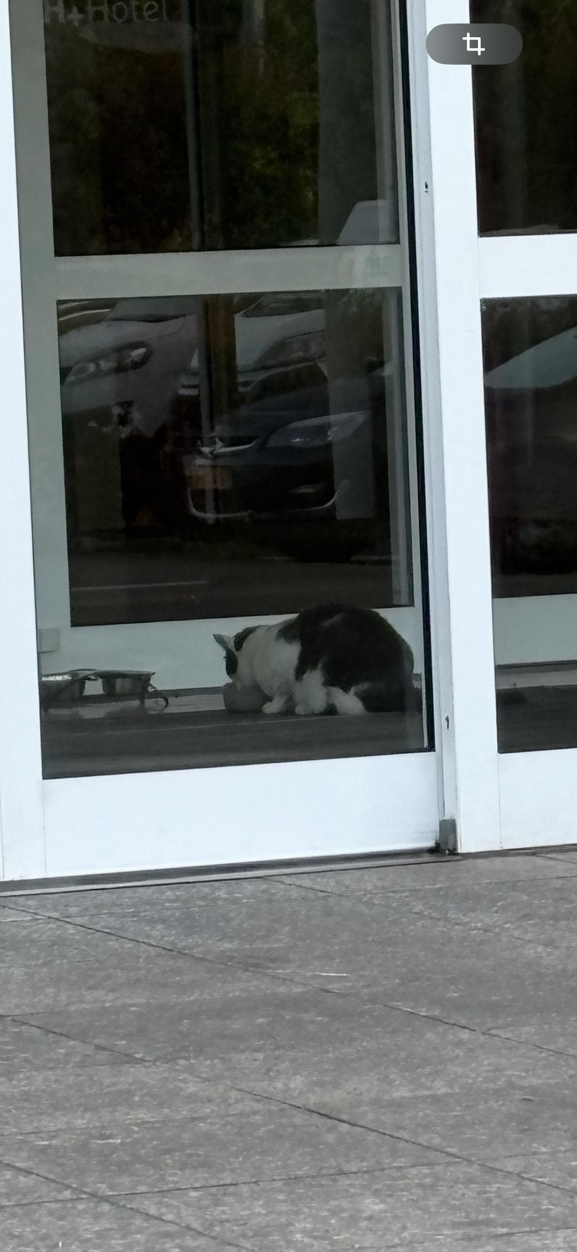Hier bekommt jeder sein Frühstück!