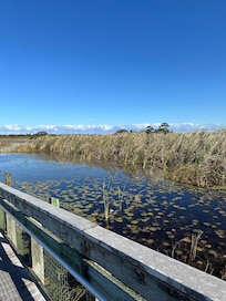 Savanah Preserve