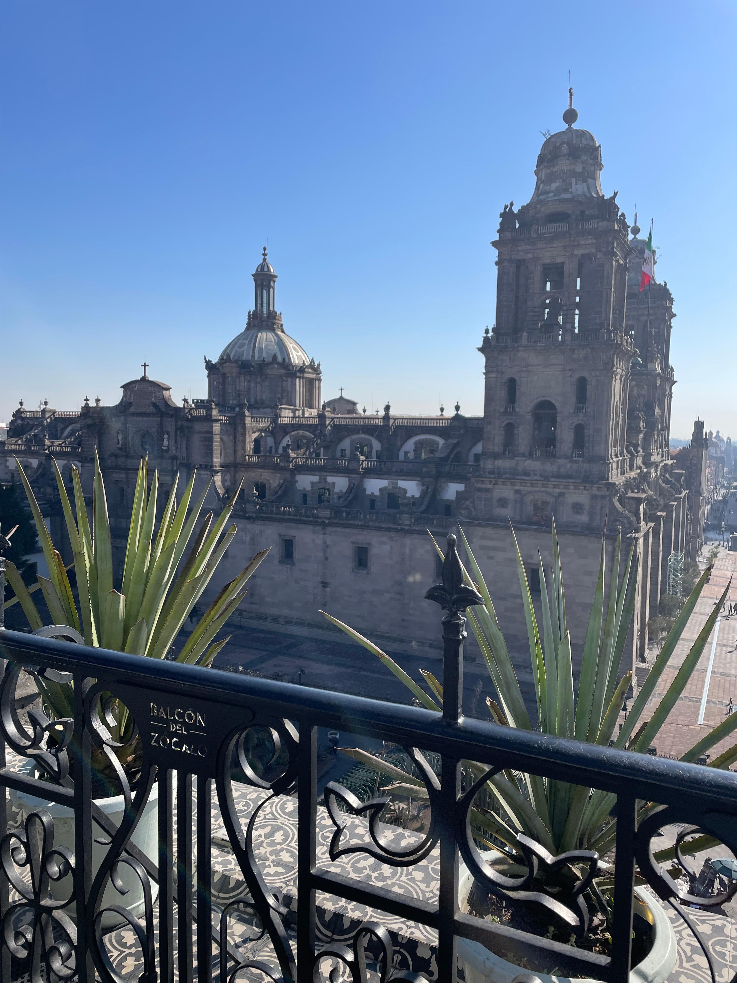 Our breakfast view every morning.