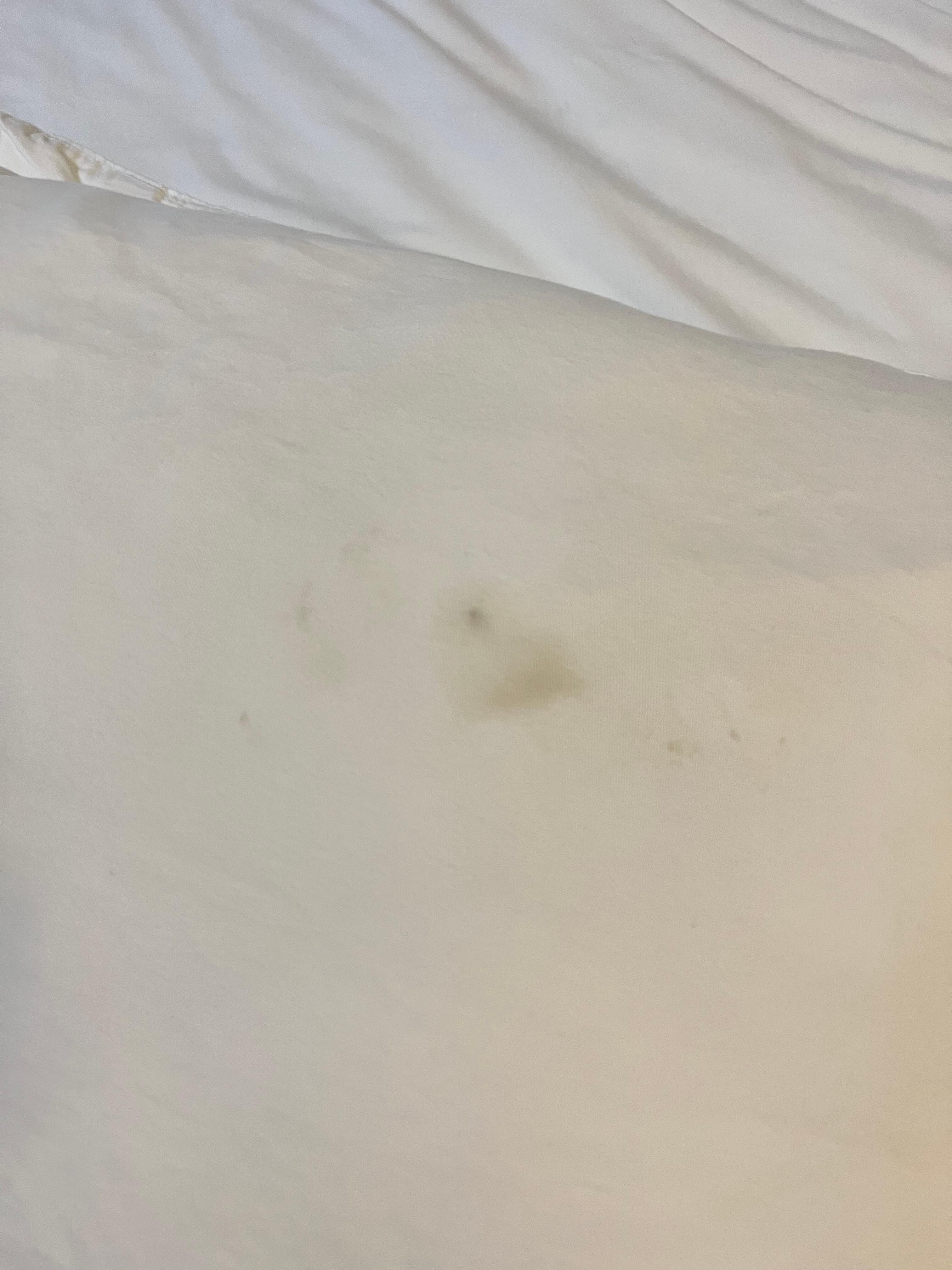 stained bed sheets