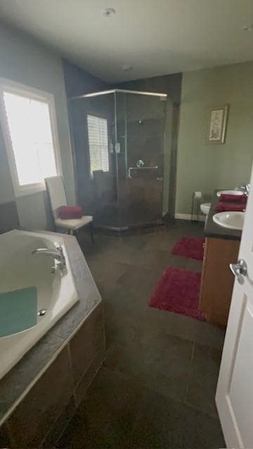 giant ensuite-double sinks, window view to the horses