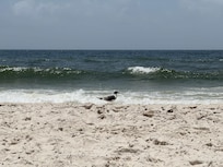 The sand was very soft. The waves were huge and super fun for our family to boogie board on and jump through.