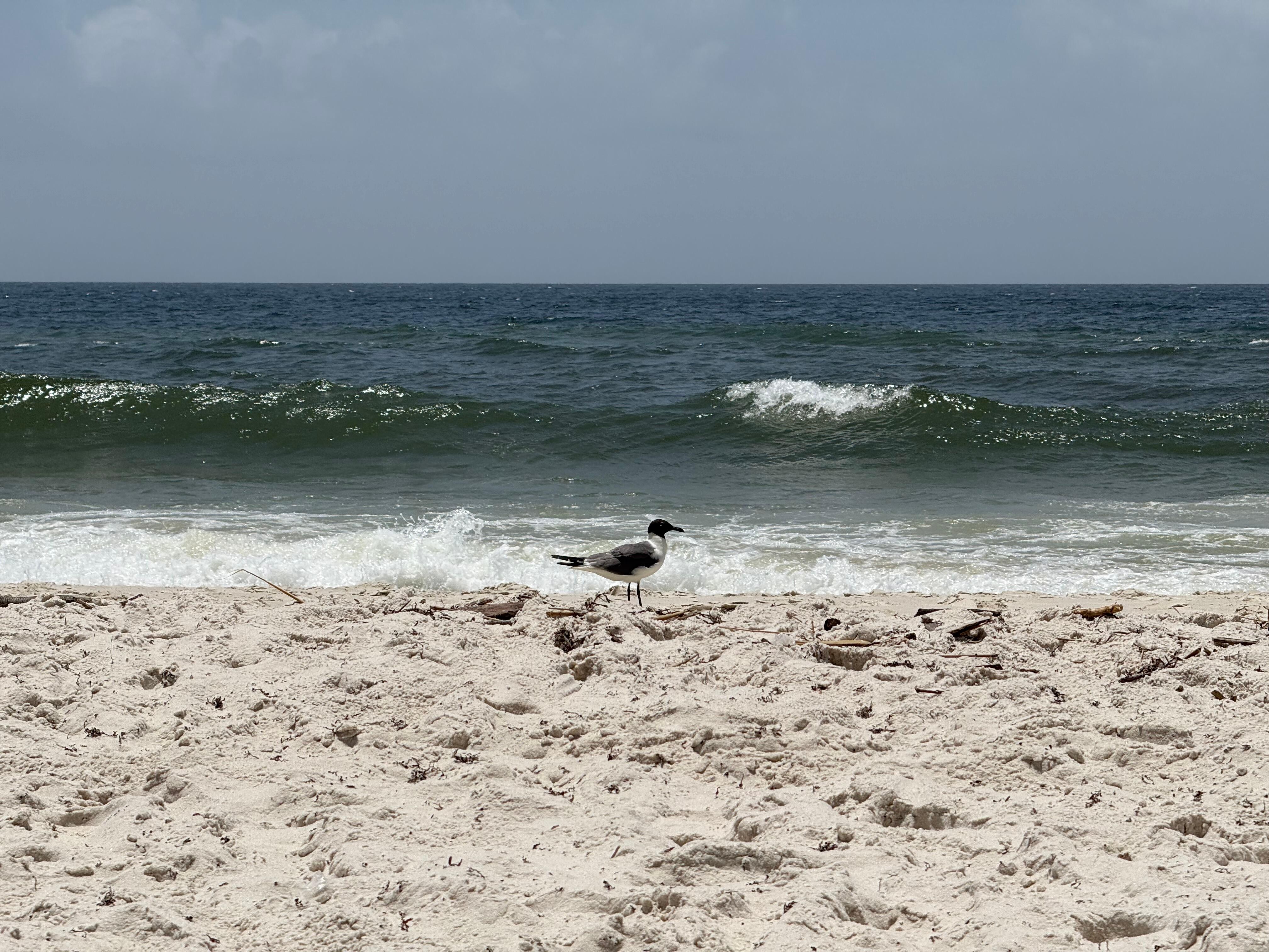 The sand was very soft. The waves were huge and super fun for our family to boogie board on and jump through. 
