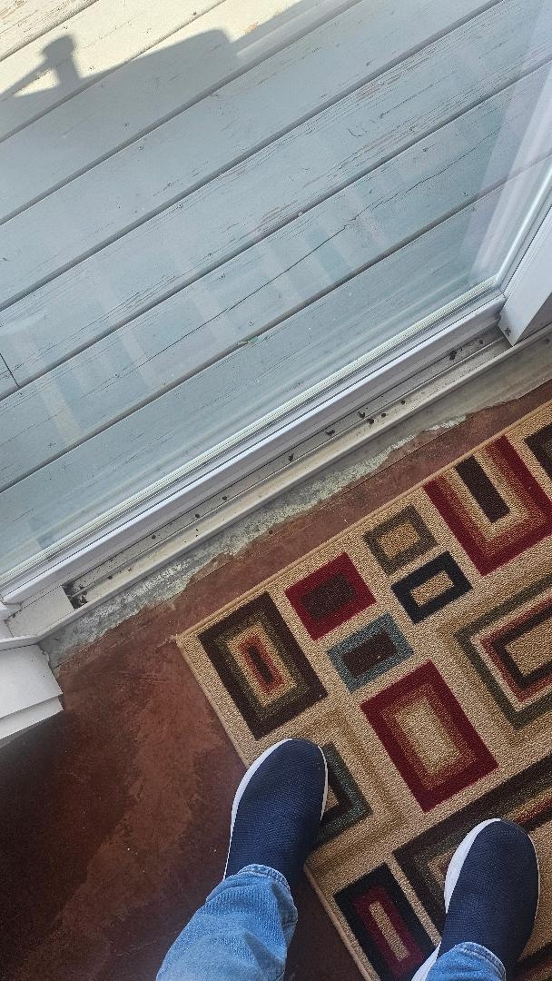 beetles and stink bugs after sweeping the majority and throwing them out