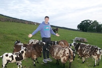 Evening stroll round the Farm Yard