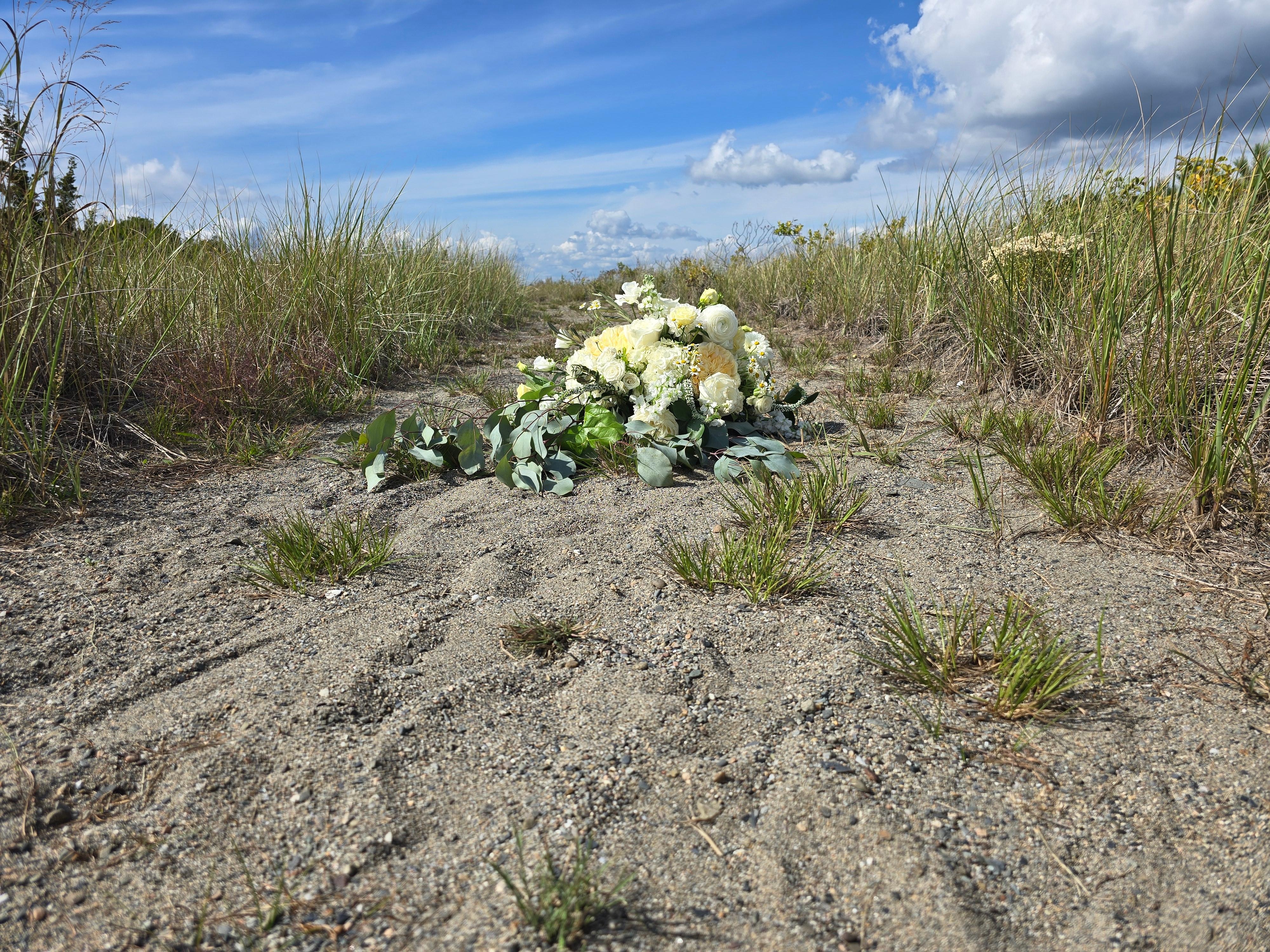 Walkway to house from water