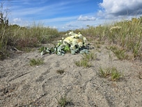 Walkway to house from water