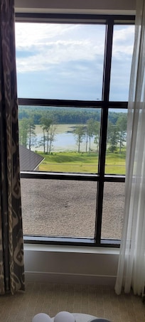 View from the room
