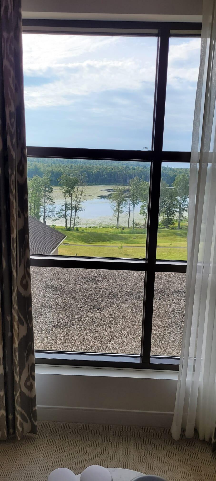 View from the room