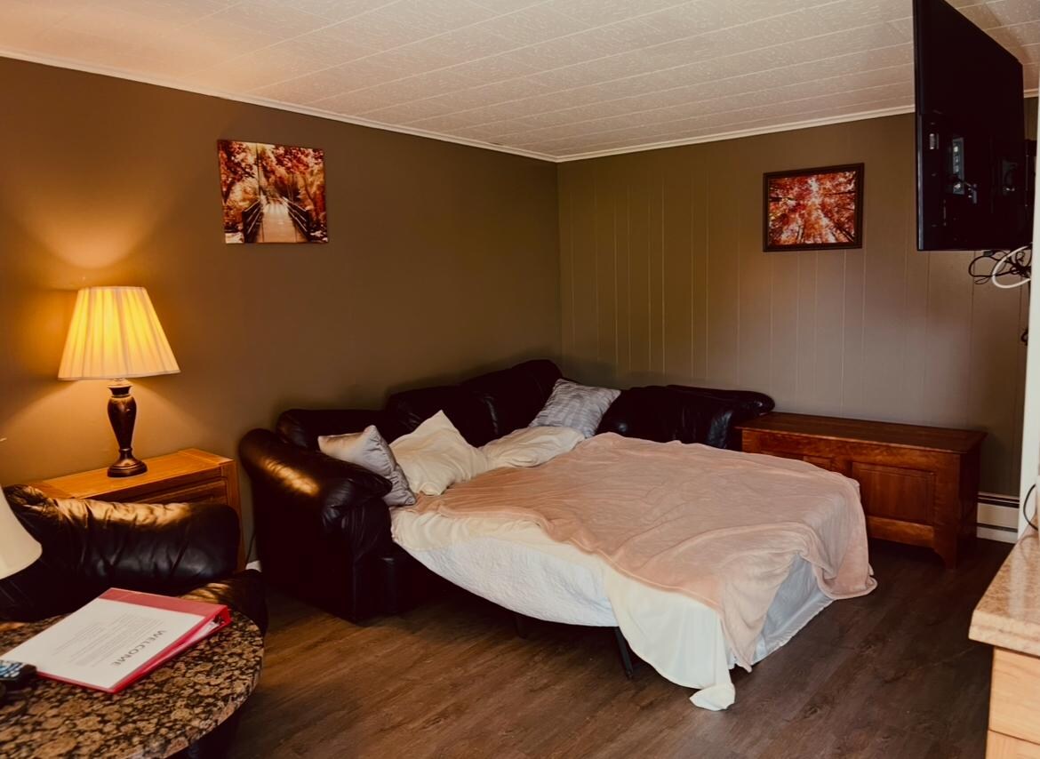 Deluxe room - Living room (pulled bed out, standard tv and full bathroom)