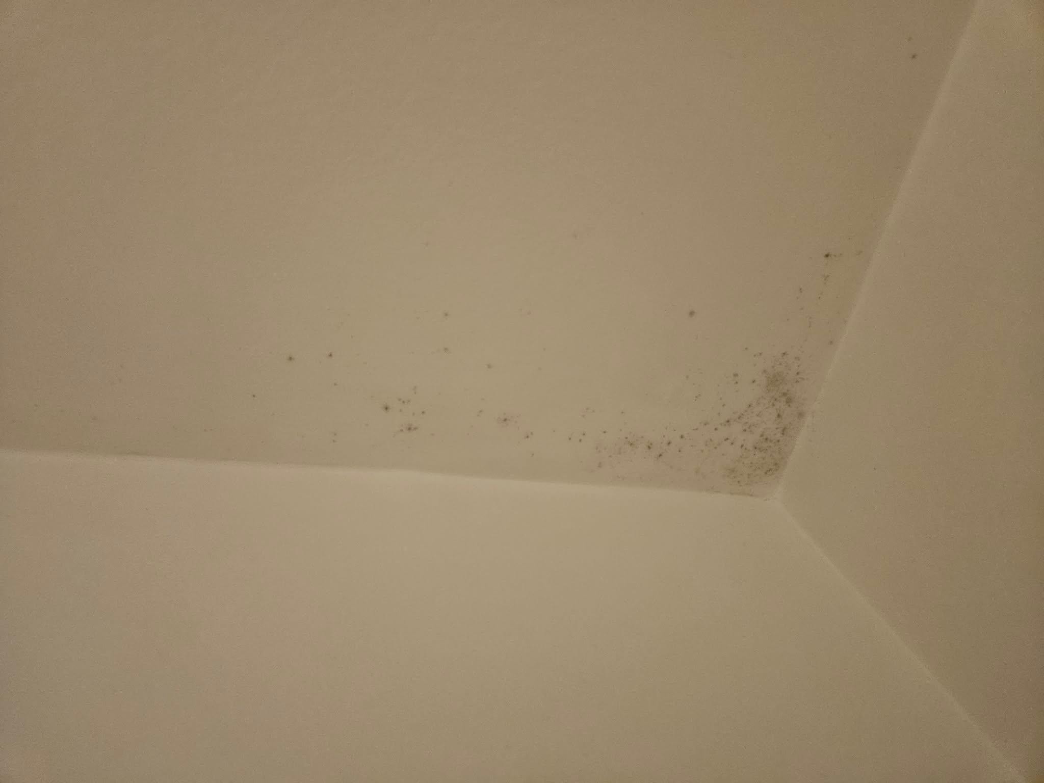 Mould on ceiling 