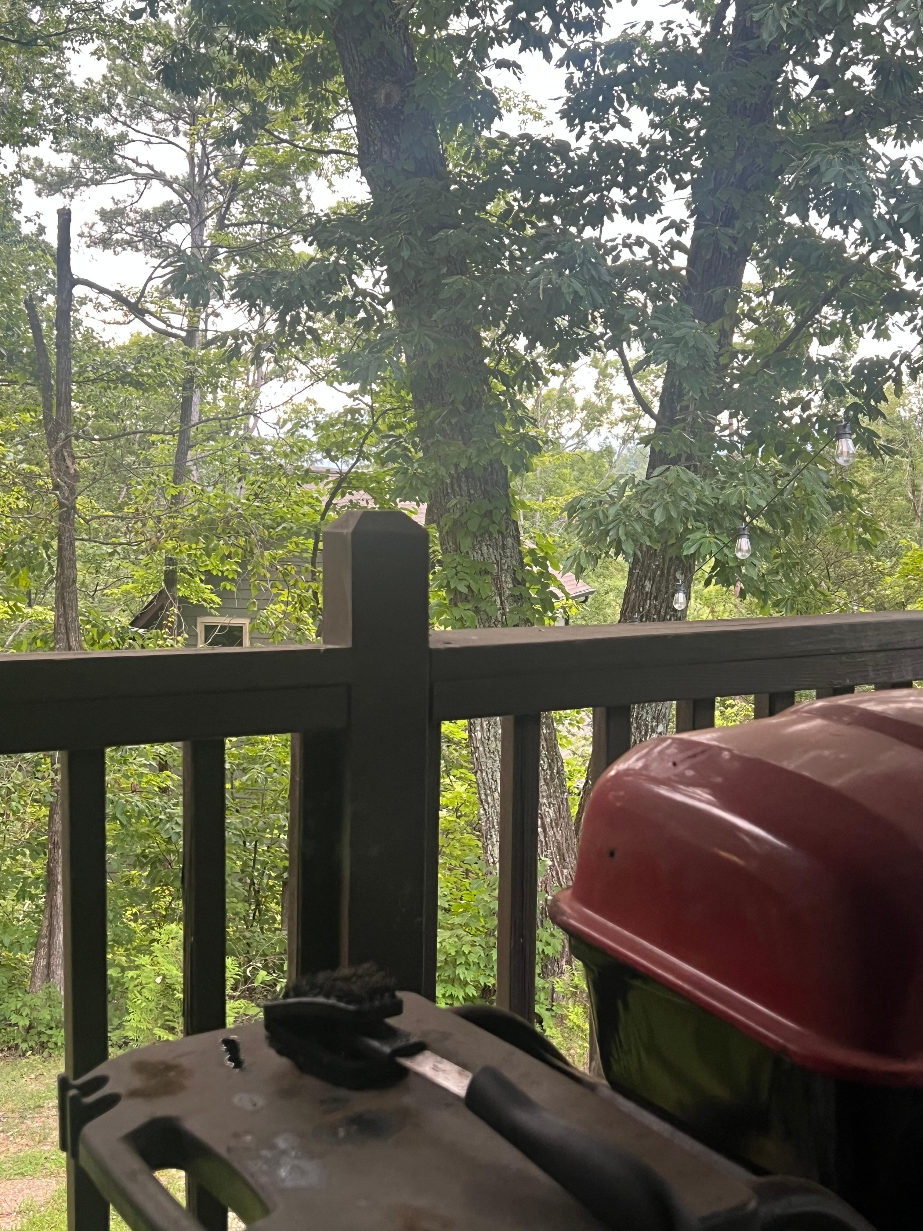 View from porch