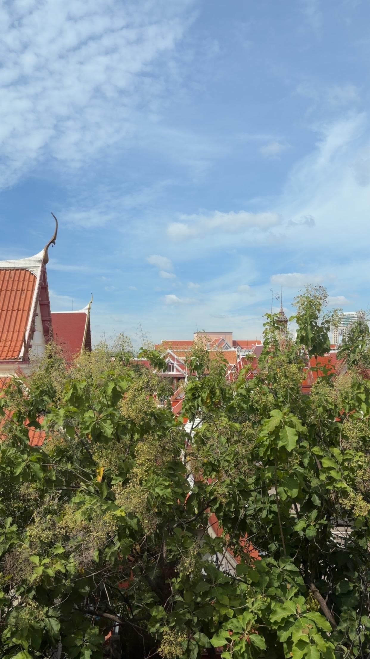 Udsigten fra værelset