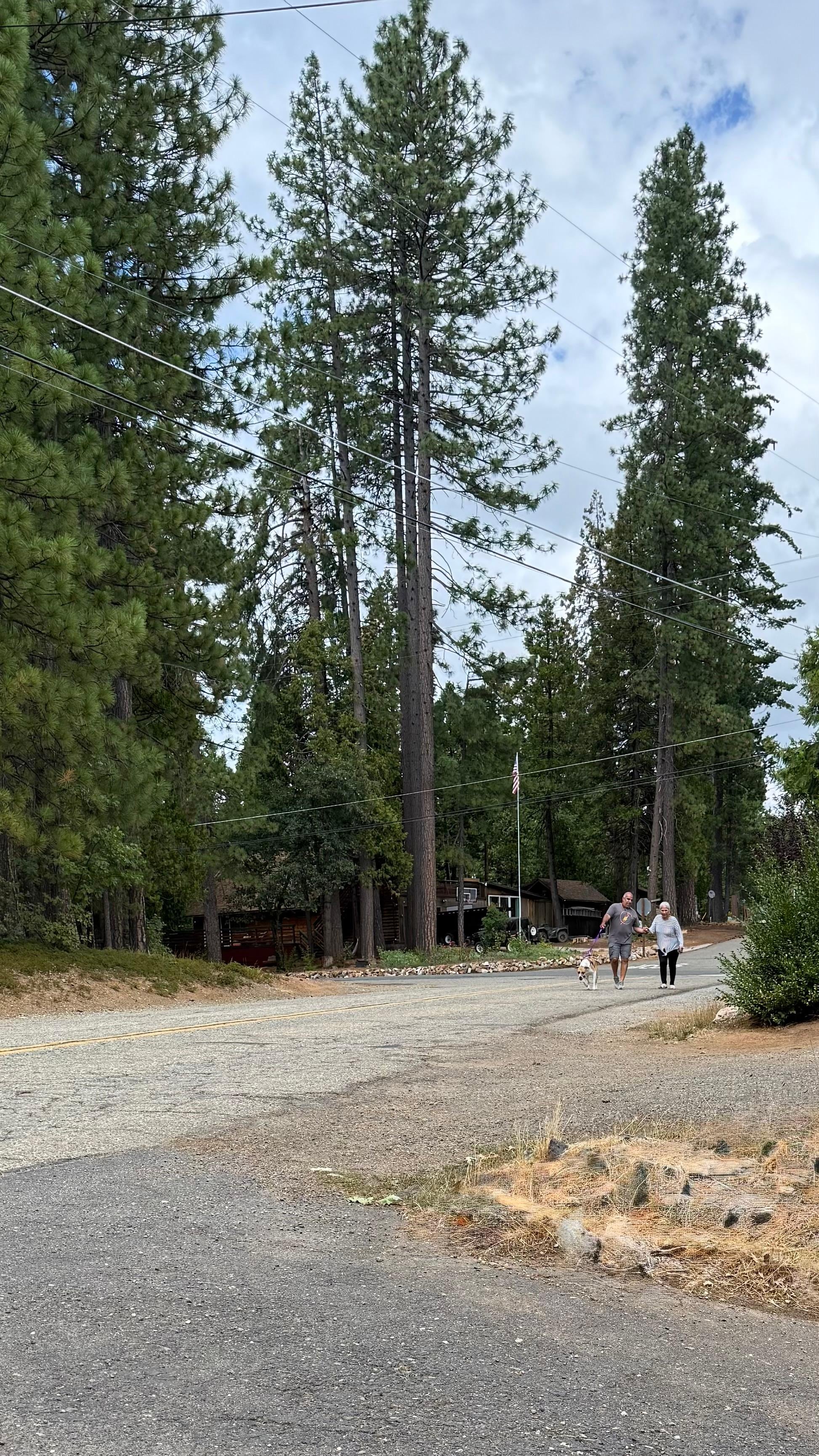 Lovely, scenic walks every morning, right near the property